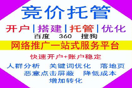 竞价排名优化策略案例分析